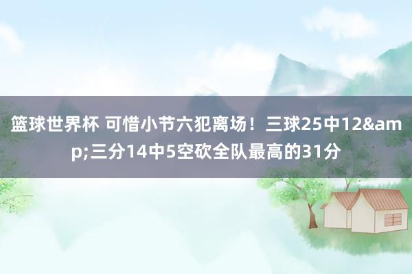 篮球世界杯 可惜小节六犯离场！三球25中12&三分14中5空砍全队最高的31分