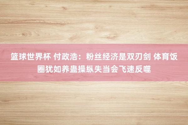 篮球世界杯 付政浩：粉丝经济是双刃剑 体育饭圈犹如养蛊操纵失当会飞速反噬