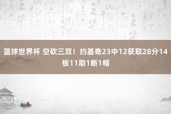 篮球世界杯 空砍三双！约基奇23中12获取28分14板11助1断1帽