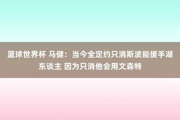 篮球世界杯 马健：当今全定约只消斯波能援手湖东谈主 因为只消他会用文森特